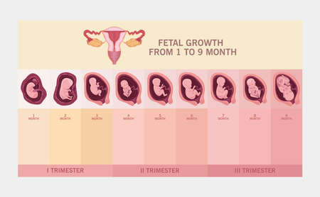 What No One Tells You About the Third Trimester