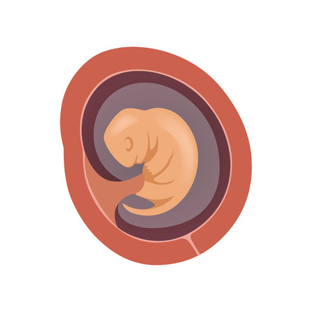 Ingredients to Avoid During Pregnancy