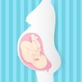 Why Babies Love Faces: Understanding Social and Emotional Development