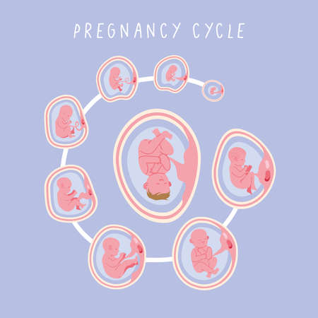 Managing Work and Pregnancy: Balancing Career and First Trimester Symptoms